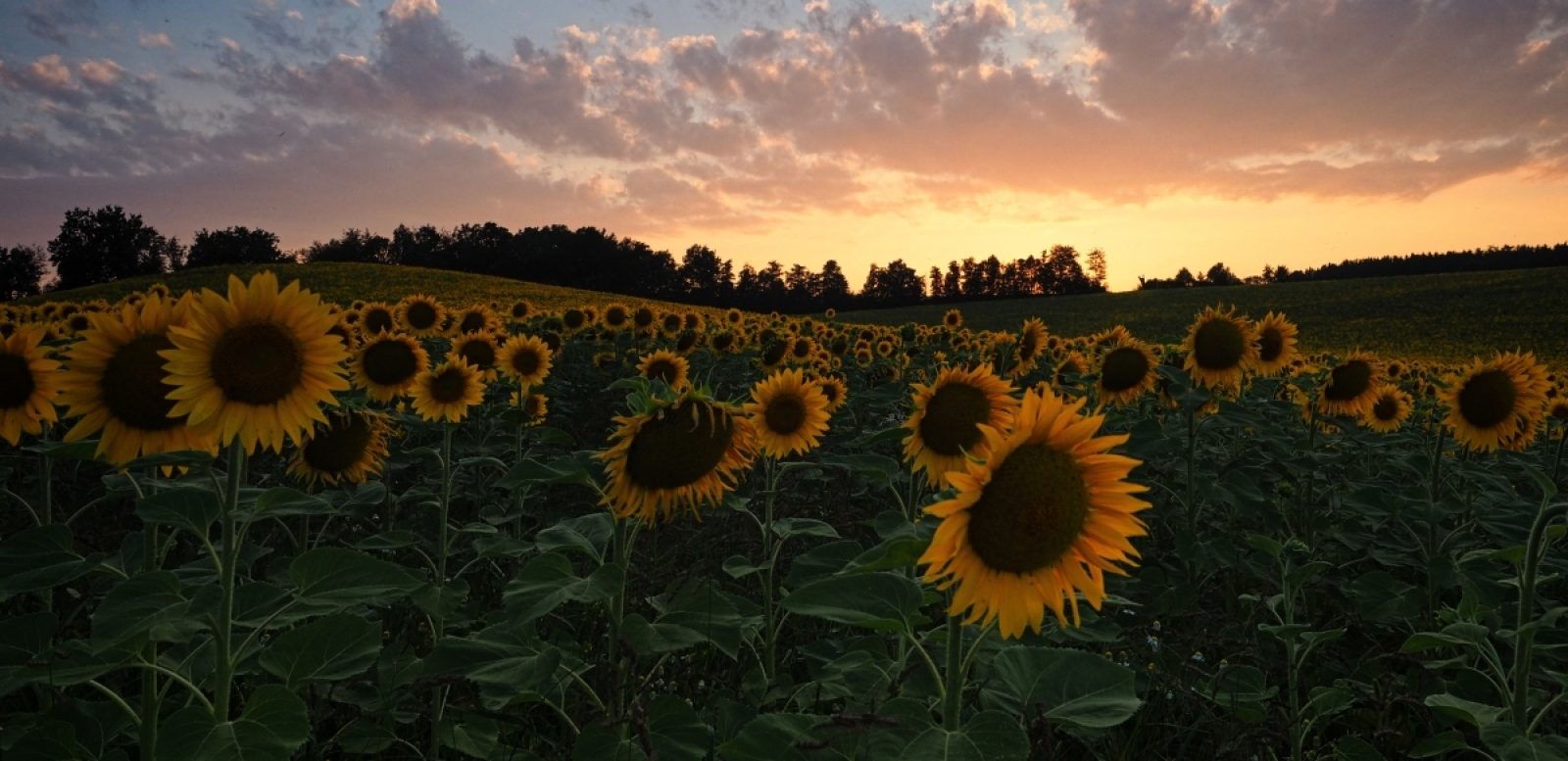 Brigittes Fotografien – Der besondere Blickwinkel 